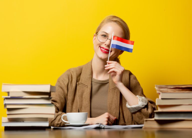 Education in the Netherlands – Higher Education