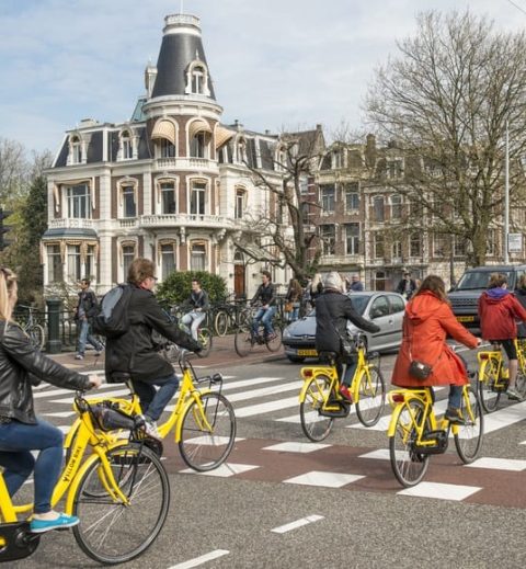education system in the netherlands < img src=”amsterdam-city-6.jpg” alt=”dove studiare paesi bassi migliore università